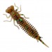Силиконовые приманки Fanatik Larva 4.5"