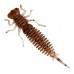 Силиконовые приманки Fanatik Larva 1.6"