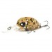 Воблер Lucky John Pro Series Haira Tiny LBF 44