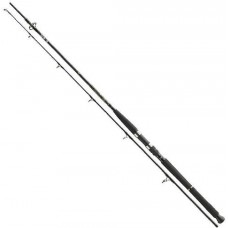 Спиннинг Daiwa BG Boat 2,1 м 150-400 гр