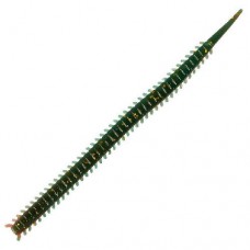 Силиконовая приманка Lucky John Salt Water Lugworm 4.5″ цв.F41