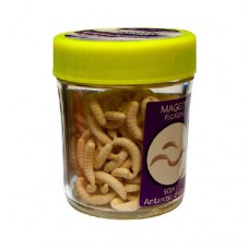 Насадки искусственные съедобные Kosadaka Maggot Опарыш белый (банка, 9 г)